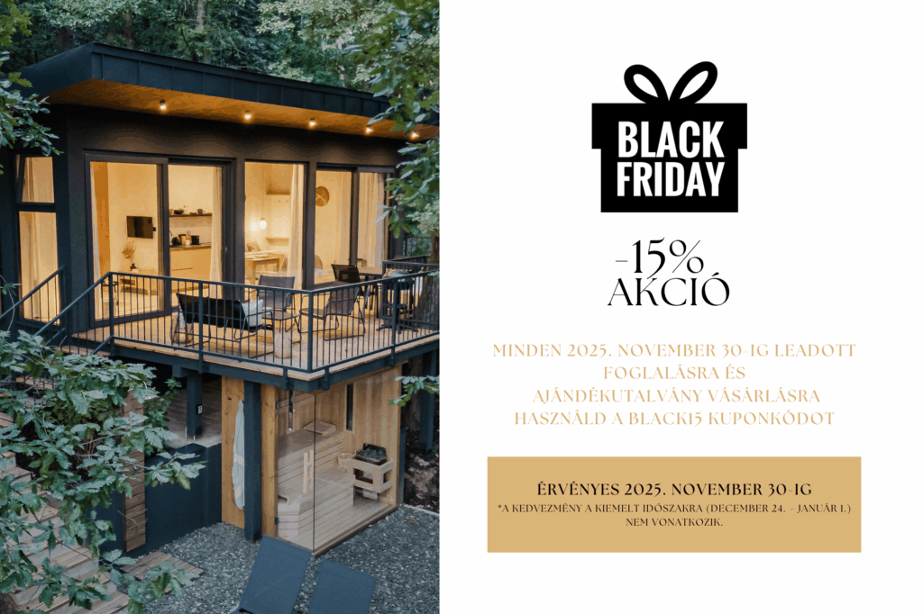 Black Friday 2025